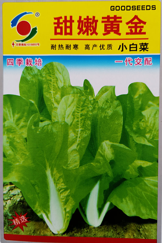 Sweet Tender Gold——Early-maturing Chinese Cabbage Sweet Tender Gold——Early-maturing Chinese Cabbage